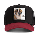 GOORIN Unisex Trucker Cap - Kappe, Front Patch, One Size