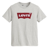 Levi's Herren T-Shirt - "Graphic Set-In Neck", Rundhals, Baumwolle