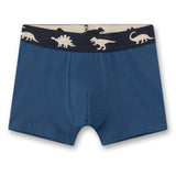 Sanetta Boys Shorts, Pack of 5 – Kids, Dinosaurs, Single Jersey, Stretch Cotton – 4/5