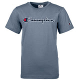 Champion Kids Unisex T-Shirt - Top, Round Neck, Cotton, Logo, Solid Color