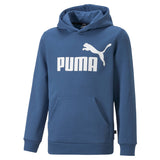 PUMA Jungen Hoodie - ESS Big Logo Hoodie, Rundhals, langarm, uni, Kapuze
