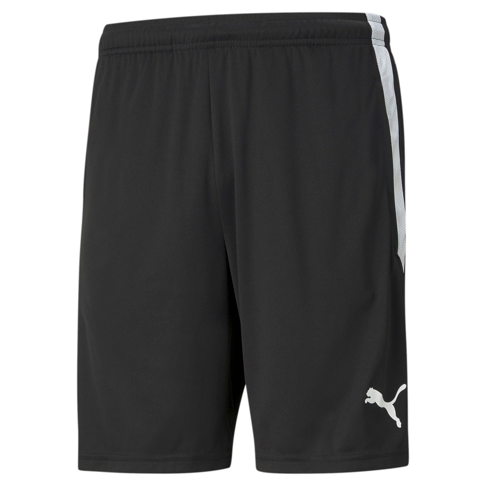 PUMA Herren Shorts - Teamliga Training Shorts, Logo, Polyester, kurz