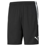 PUMA Herren Shorts - Teamliga Training Shorts, Logo, Polyester, kurz