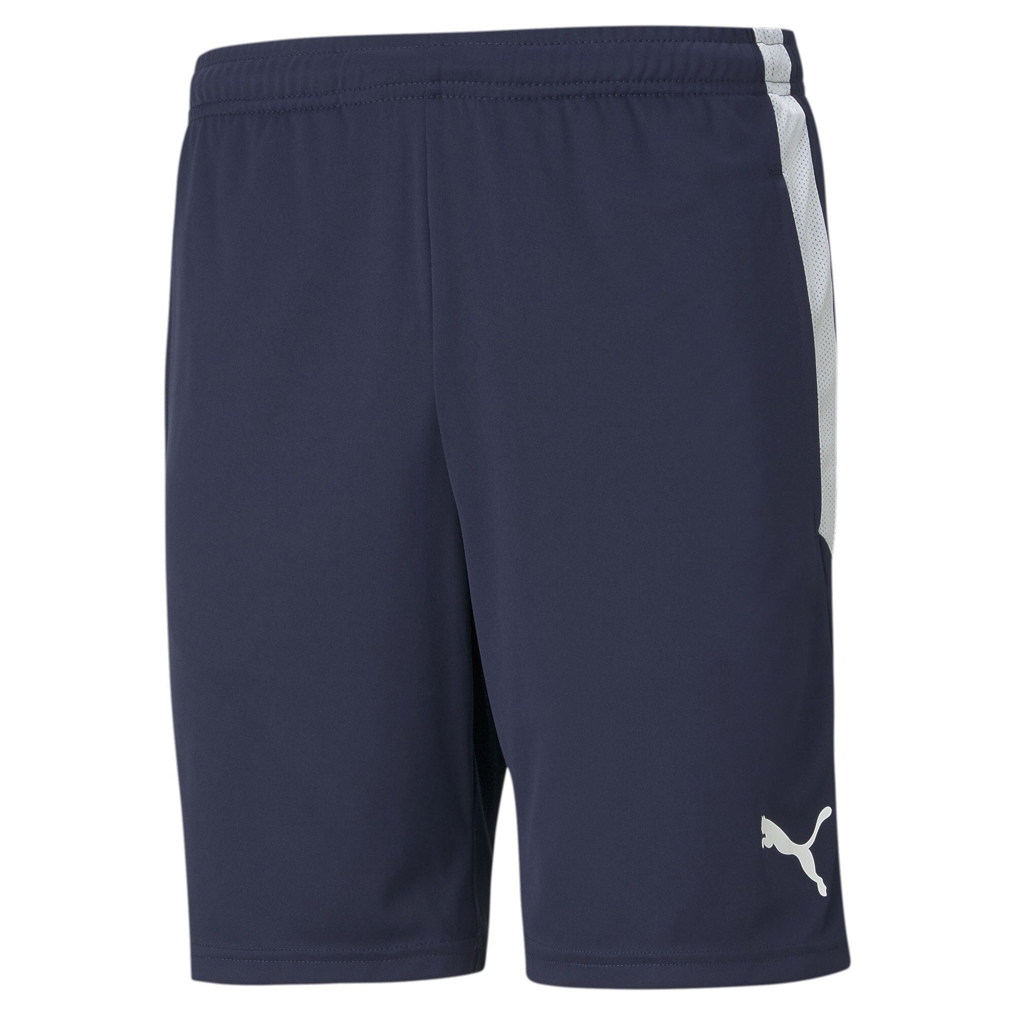 PUMA Herren Shorts - Teamliga Training Shorts, Logo, Polyester, kurz