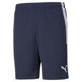PUMA Herren Shorts - Teamliga Training Shorts, Logo, Polyester, kurz