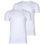 GANT Men's T-shirt, 2-pack - V-neck, V-neck, short-sleeved, cotton