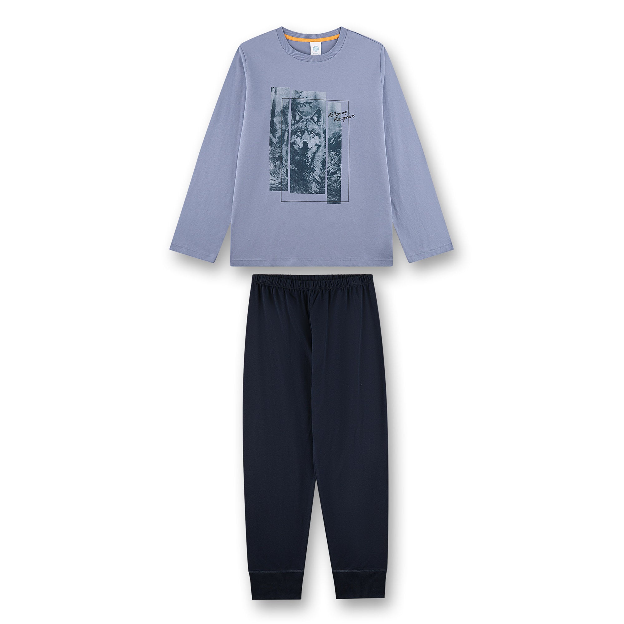 Sanetta Boys Pyjamas, long - teens, wolf print, single jersey, cotton