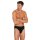 SCHIESSER Mens Supermini Briefs - Series "95/5", Organic Cotton, plain, S-4XL Black 4 (S)