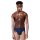 SKINY Herren Brasil-Slip, 2er Pack - Cotton Retro, Unterhose, Feinripp, Baumwolle Blau M