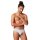 SKINY Herren Brasil-Slip, 2er Pack - Cotton Retro, Unterhose, Feinripp, Baumwolle Grau L