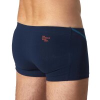 EIN SCHÖNER FLECK ERDE Herren Boxershorts - Shorts, Print, Bio-Baumwolle Großglockner (Blau) L