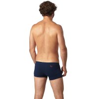 EIN SCHÖNER FLECK ERDE Herren Boxershorts - Shorts, Print, Bio-Baumwolle Großglockner (Blau) L