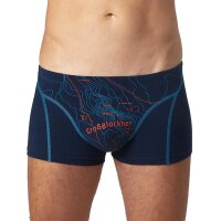 EIN SCHÖNER FLECK ERDE Mens Boxer Shorts - Print, Organic Cotton Großglockner (Blue) L (Large)