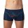 EIN SCHÖNER FLECK ERDE Mens Boxer Shorts - Print, Organic Cotton Großglockner (Blue) L (Large)