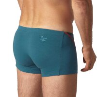 EIN SCHÖNER FLECK ERDE Herren Boxershorts - Shorts, Print, Bio-Baumwolle Wilder Kaiser (Türkis) S