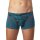 EIN SCHÖNER FLECK ERDE Mens Boxer Shorts - Print, Organic Cotton Wilder Kaiser (Turquoise) S (Small)