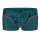EIN SCHÖNER FLECK ERDE Mens Boxer Shorts - Print, Organic Cotton Wilder Kaiser (Turquoise) L (Large)