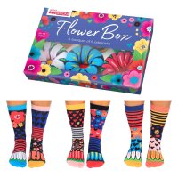 United Oddsocks Damen Socken, 6 Socken Pack - Strumpf, Mottomotive Flower Box 37-42