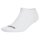 adidas Unisex Sneaker Socks, 3-Pack - Thin Linear Low-Cut, Rhin Socks, Logo, Solid Color White 37-39