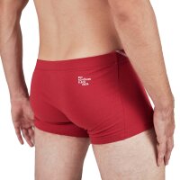 EIN SCHÖNER FLECK ERDE Herren Boxershorts - Shorts, Print, Bio-Baumwolle Wilder Kaiser (Kaminrot) L