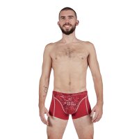 EIN SCHÖNER FLECK ERDE Mens Boxer Shorts - Print, Organic Cotton Wilder Kaiser (Chimney red) L (Large)