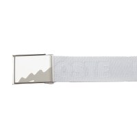 LACOSTE Herren Gürtel -  Jacquard Branded Belt, 40 mm, Logo Hellblau (Phoenix) 100 cm
