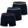 EMPORIO ARMANI Herren Trunks, 3er Pack - CORE LOGOBAND, Boxershorts, Stretch Cotton