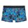 HOM Herren Boxershorts - Boxer Briefs Java, Unterhose, gemustert Blau M