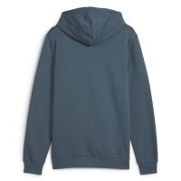 PUMA Mens Hoodie - ESS Big Logo Hoodie FL, Hood, Logo Grey (Gray Skies) S (Small)