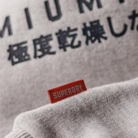 Superdry Mens Hoodie - Duo Vintage Logo Hoodie , Logo, Single colour Light grey M (Medium)