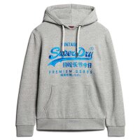 Superdry Herren Hoodie - Neon VI Graphic Hoodie , Logo, einfarbig Hellgrau S
