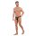 HOM Herren Comfort Micro Brief 2er Pack - Slip, Unterwäsche, Baumwolle, einfarbig Grau M
