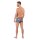 HOM Herren Boxershort - Trunk, Willy, Plume, federleicht Blau/Gelb/Pink S