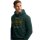 Superdry Men Hoodie - VI Duo Classic Hood, Hood, Logo, Plain Colour Green M (Medium)