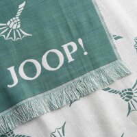 JOOP! mens scarf - Feris, woven scarf, cornflower, logo, bicolour, approx. 180 x 60 cm Green (Pastel Green)