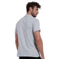 GÖTZBURG Herren T-Shirt, 2er Pack - Rundhals, Baumwolle, Kurzarm, einfarbig Grau 4XL