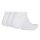 adidas Unisex Sneaker Socks, 3-pack - Cushioned Essentials Low Socks, Logo, Padded, Solid Color White 37-39 (UK 4.5-6)