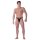 WOH Herren G-String - Pure Seduction, Spitze, Metalldetail, durchsichtig Schwarz S