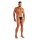 WOH Men G-String - Personal Allure, Zebra, Lace, Transparent Black S (Small)