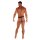WOH Herren G-String - Pure Seduction, Glitzer, Spitze, einfarbig Schwarz S
