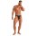WOH Men G-String - Pure Seduction, mesh, lace, plain colour Black S (Small)