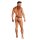 WOH Men G-String - Pure Seduction, mesh, lace, plain colour Black S (Small)