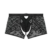 WOH Herren Boxer-String - Pure Seduction, Netz, Spitze, Logobund Schwarz S