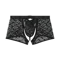 WOH Men Boxer Thong - Pure Seduction, Mesh, Lace, Logo Waistband Black S (Small)