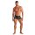 WOH Men Boxer Thong - Pure Seduction, Mesh, Lace, Logo Waistband Black S (Small)