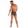 WOH Herren Boxershort - Pure Seduction, Trunk, Glitzer, Spitze, Logobund Schwarz S