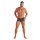WOH Men Boxer Shorts - Pure Seduction, Trunk, Glitter, Lace, Logo Waistband Black S (Small)