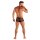 WOH Herren Boxershort - Personal Allure, Trunk, Spitze, Logobund, durchsichtig Schwarz S