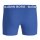 BJÖRN BORG Men Boxer Shorts, 7-Pack - Cotton Stretch Boxers, Logo Waistband, Underwear, Cotton Blend Blue/Green L (Large)
