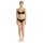 adidas Damen Strings, 6er Pack - Sport Active Essential, Low Rise Thong, Unterwäsche, Cotton Stretch, Logo, uni Schwarz M